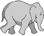 preview of Elephnt1.gif