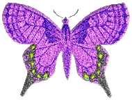 preview of butterflygraphic1.gif
