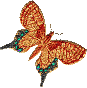 preview of butterflygraphic3.gif