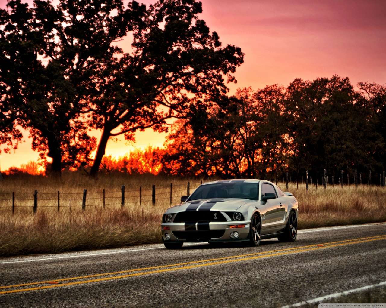 preview of Ford shelby hdr wallpaper.jpg